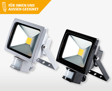 DYNAMAX LED-Strahler, 20 W