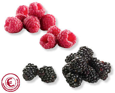 Frutti di bosco