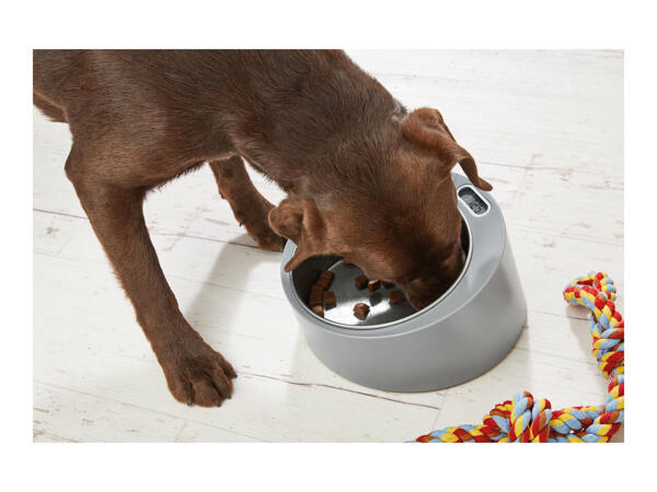 Zoofari Feeding Bowl with Built-In Scale