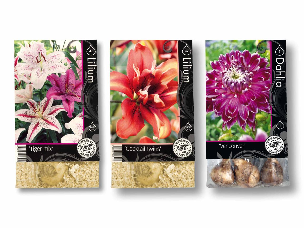 Bulbi di fiori "premium"