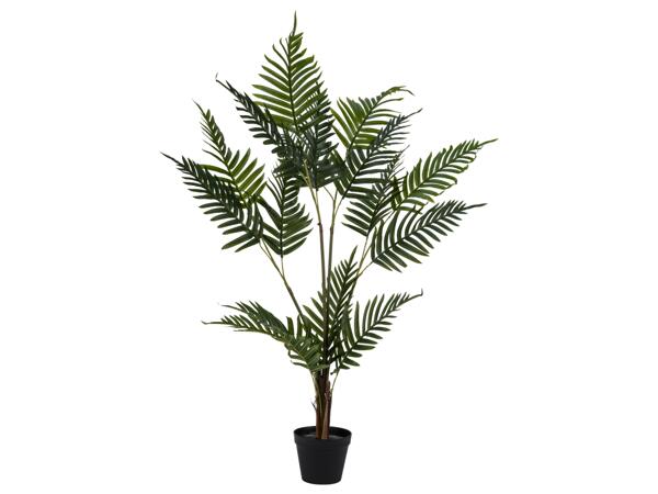 Artificial Plant
