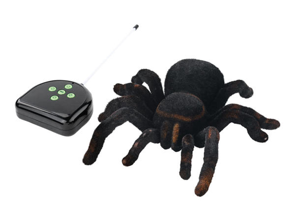 Remote-Controlled Rat or Tarantula
