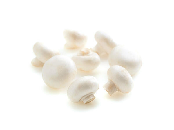 Champignons fins