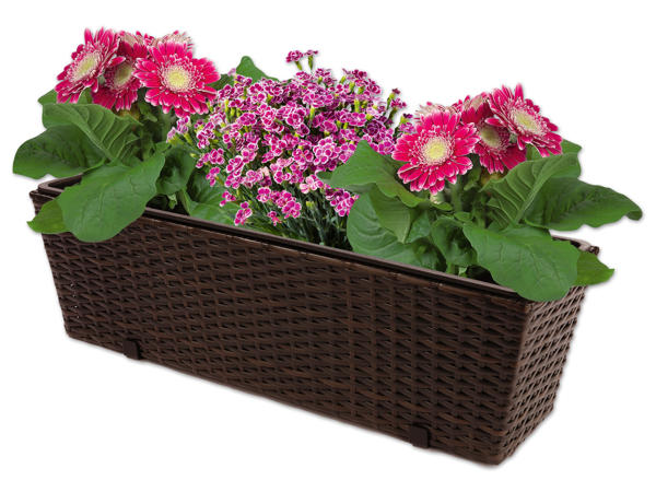 FLORABEST(R) Geflecht-Balkonkasten