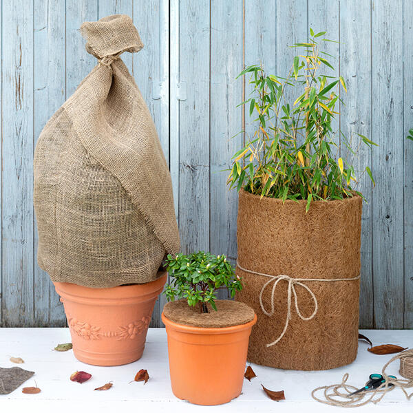 Jute-/ Kokos-Pflanzenschutz
