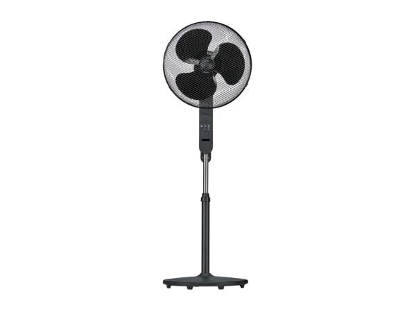 Black Pedestal Fan