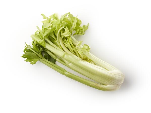 Green Celery