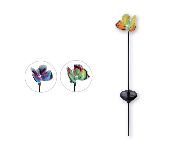 MELINERA(R) Decorative Solar-Powered Light