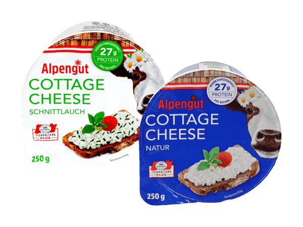 Cottage Cheese