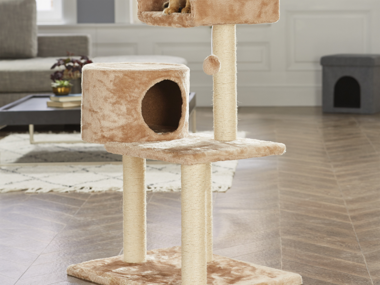 Arbre à chat