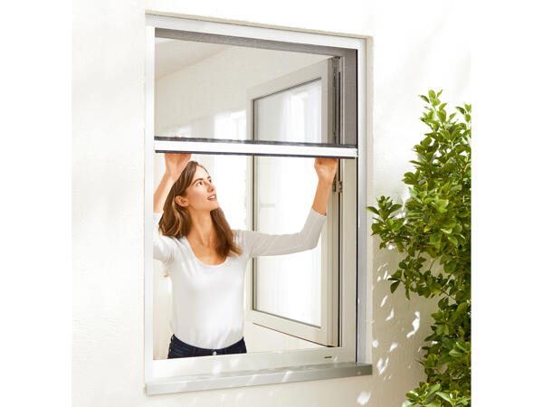 Insect Roller Blind