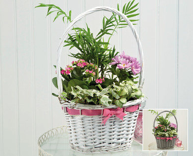 Premium Mother's Day Gift Basket
