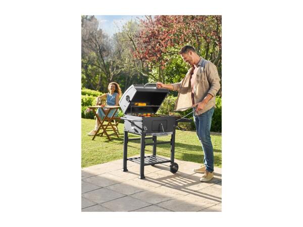 Grillmeister Charcoal Barbecue