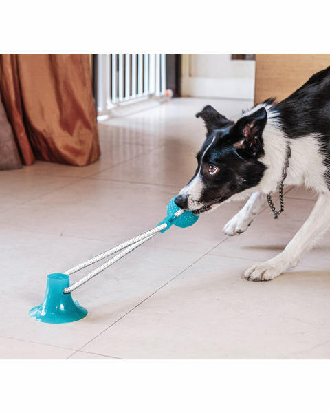 Dog Dazzler Tug Ball
