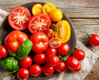 ZURÜCK ZUM URSPRUNG Österreichische Bio-Tomatenrarität
