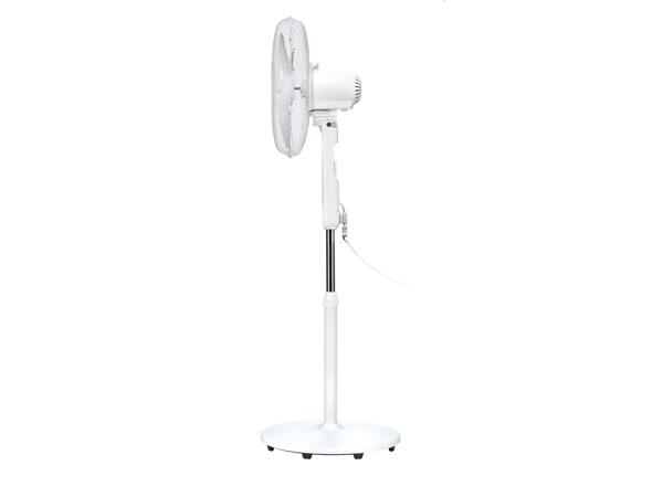 50W Pedestal Fan