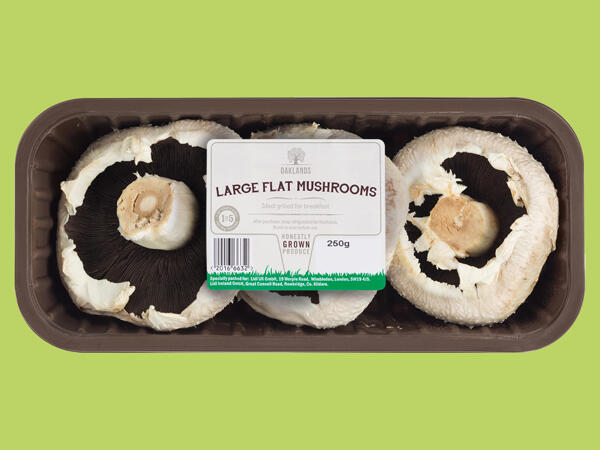 Oaklands Large Flat Mushrooms
