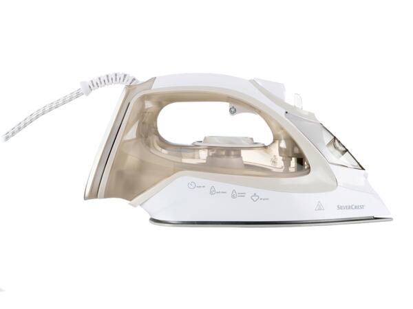Steam Iron