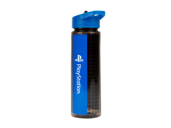 Character Water Bottle