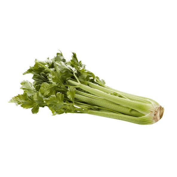 Céleri vert