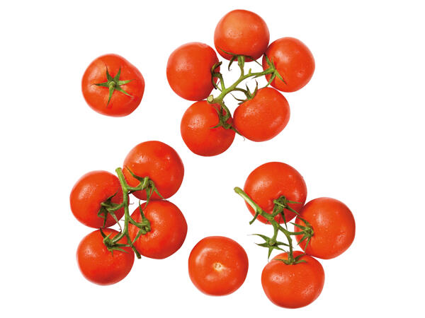 Strauchtomaten