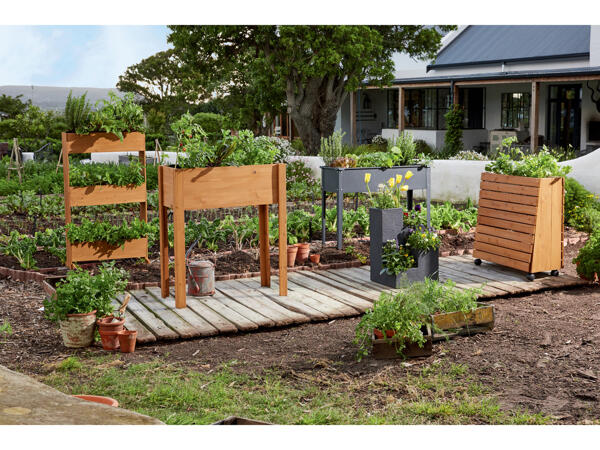 Raised Bed