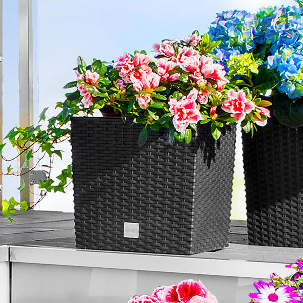 Blumentopf