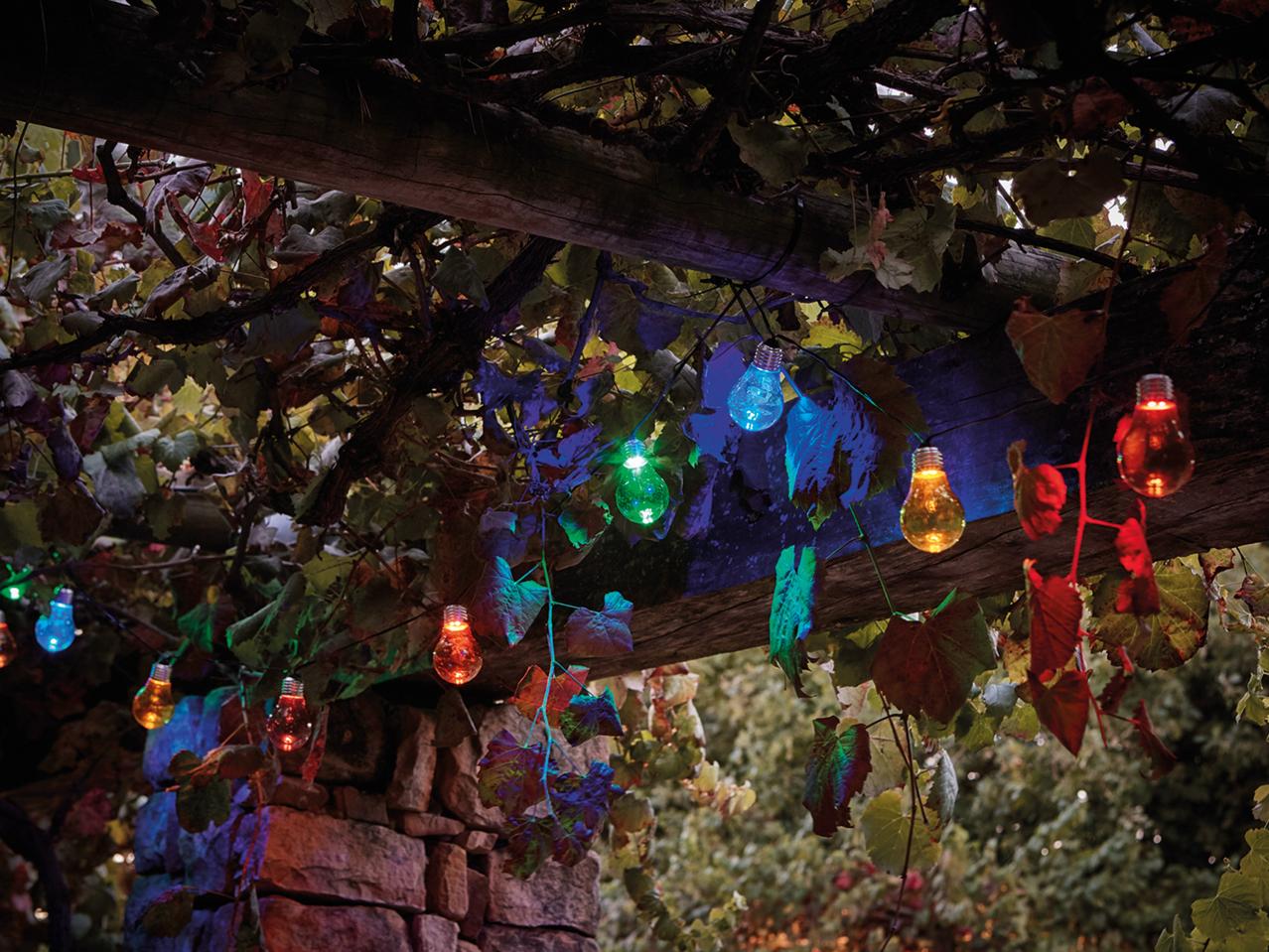 Livarno Lux LED String Lights1
