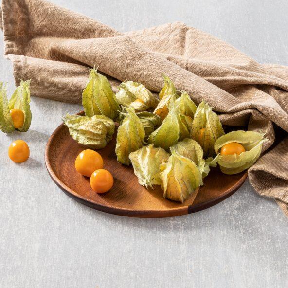 Physalis