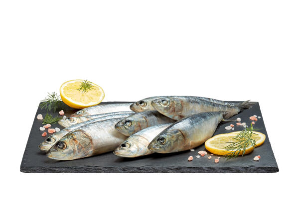 Sardines