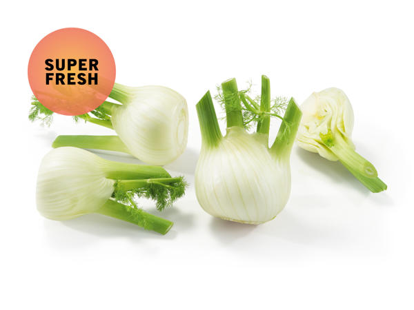 Fenchel