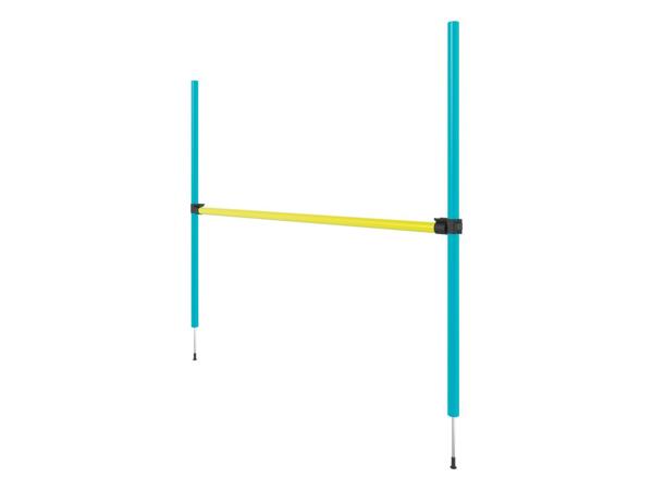 Zoofari Dog Agility Set