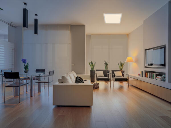 Smart LED Ceiling Light