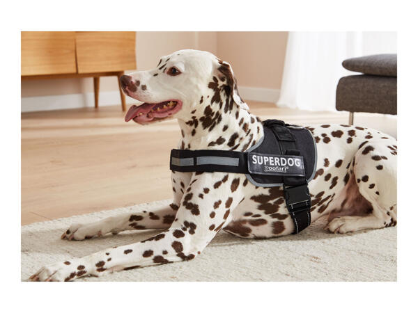 Zoofari Dog Harness