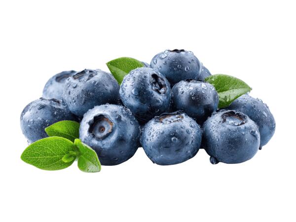 Bio Heidelbeeren