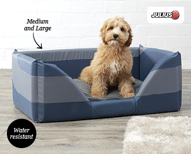 Dog Bed