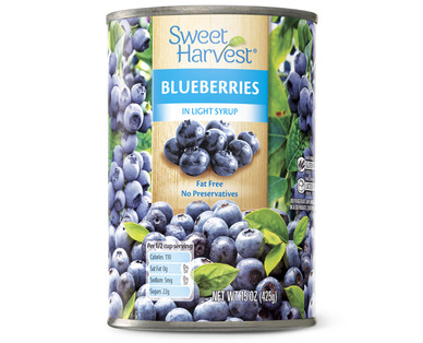 Sweet Harvest Blueberries in Light Syrup