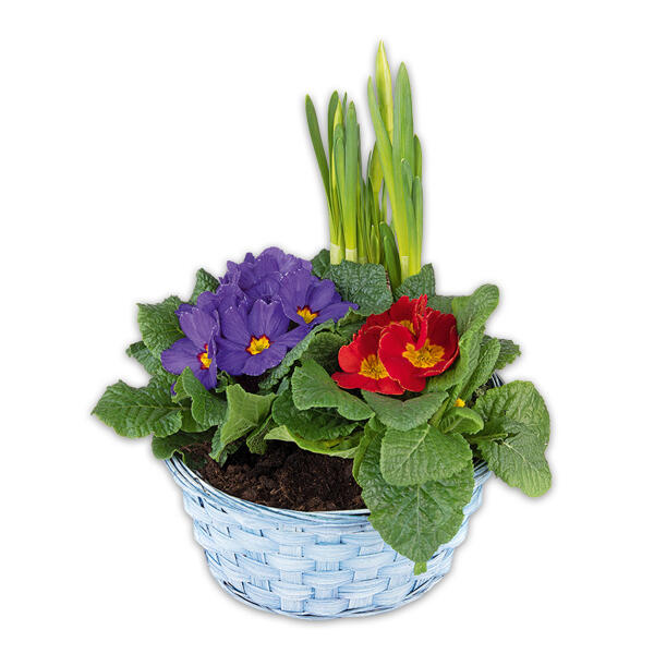 Bunter Frühlingskorb