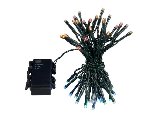 Livarno Home 50 LED Battery Operated String Lights