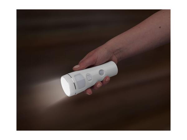Livarno Home Multi-Function LED Light