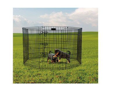 Heart to Tail Exercise Playpen