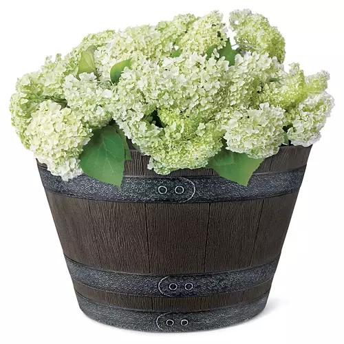 Whiskey Barrel Planter