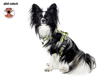 ROMEO
PETTORINA SPORTIVA PER CANI