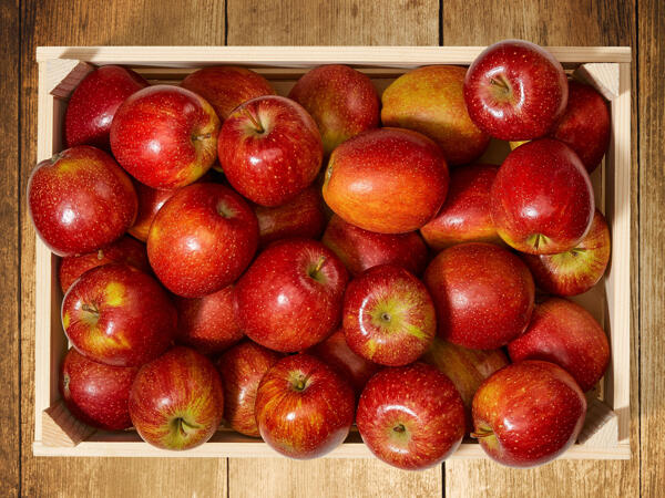 Bio Apfel