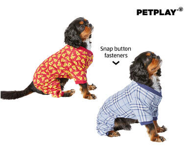 Dog Pyjamas