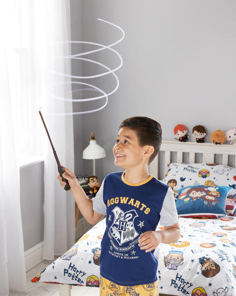 Elder Painting Wand