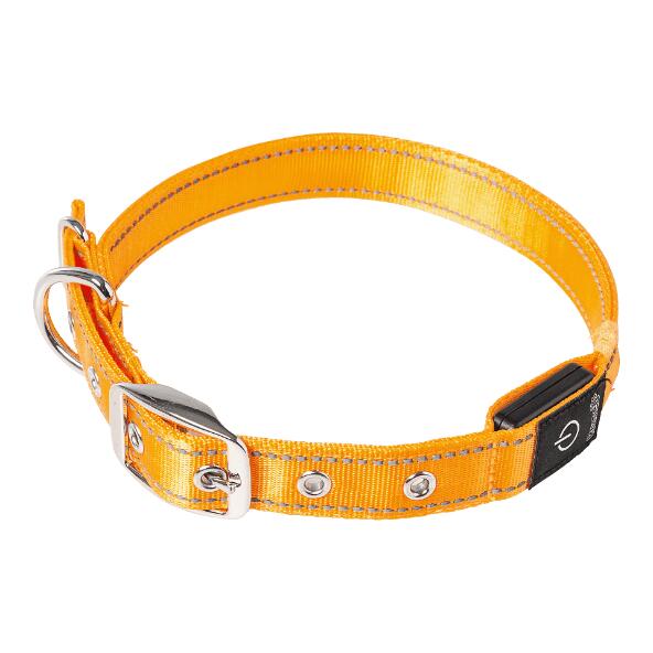ROMEO(R) 				Collier à LED