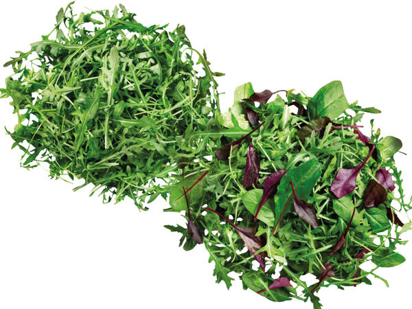 Rucola oder Mix Salat