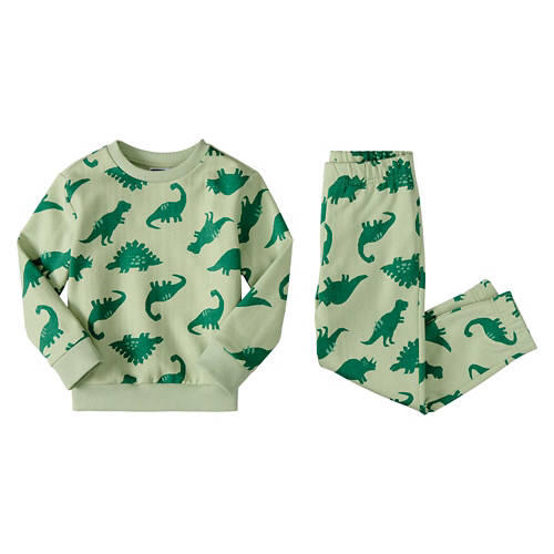 Toddler Sweat Set - Green Dinosaurs, 3T