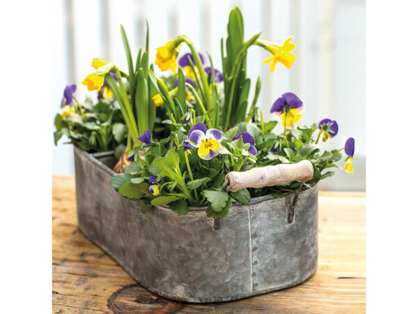 Forårsblomster i skål